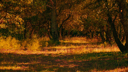 pleasure ground Murs - France