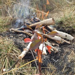 fire on the ground