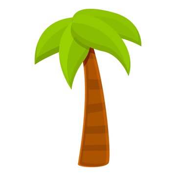 Summer palm icon. Cartoon of summer palm vector icon for web design isolated on white background