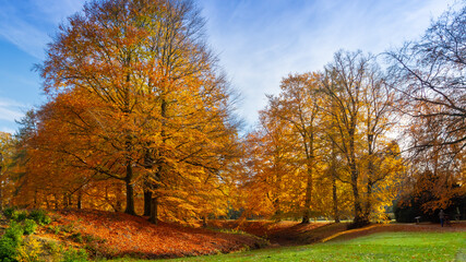 Der goldene Herbst mit seinen prachtvollen Farben
