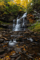 Fall Foliage Festival