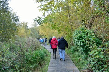 Fototapeta premium Group of retired hikers on a path in Brittany. France