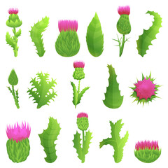 Thistle icons set. Cartoon set of thistle vector icons for web design