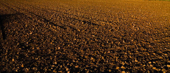 plowed field after harvest, ploughed field