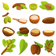 Shea tree icons set. Cartoon set of shea tree vector icons for web design