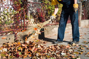 Man brooming the street to collect fallen leaves