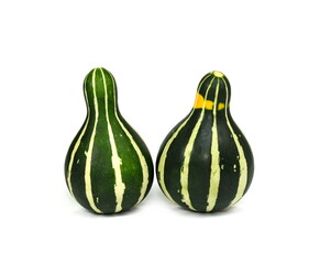 Colorful ornamental pumpkins and gourds isolated on white background. Decorative gourds on white background. Variety of colorful ornamental gourds. Mini gourds.