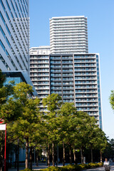 武蔵小杉のマンション群