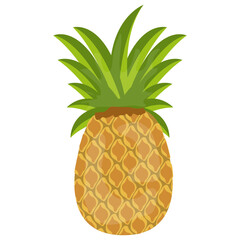 
A fresh juicy fruit  depicting pineapple
