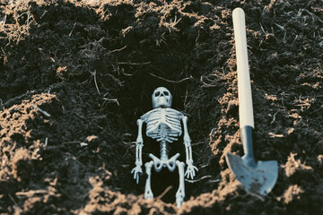 dug up a skeleton from the ground, next to a shovel