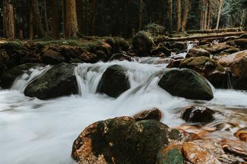 Small waterfall and river rapids. Mountain river in autumn forest. Long exposure photo of river.