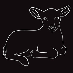 Print Hand drawn lamb line vector illustration art.