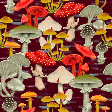 Watercolor seamless pattern with different mushrooms. Bright nature background with fly agaric, toadstool, brown boletus, boletus perfect for cover, children textile, wrapping