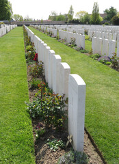 British and Commonwealth WW1 graves, Tyne Cot Cemetery, Passchendaele, near Ypres, Belgium