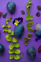 fruit harvest, Wallpaper parttern design plums apples persimmon greens menu