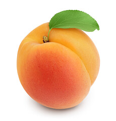 apricot fruit isolated on white background. Clipping path and full depth of field