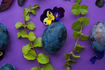 ripe plum on a purple background