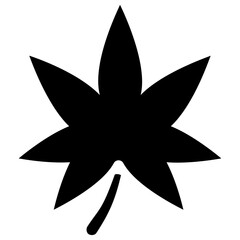 Obraz premium A leaf with multiple veins inside having heart like shape called beech leaf 