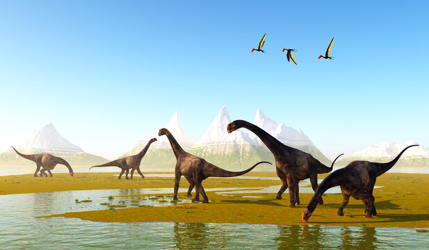 Prehistoric Meadow - Dsungaripterus Pterosaurs fly over a herd of herbivorous Brontomerus dinosaurs eating low growing vegetation.