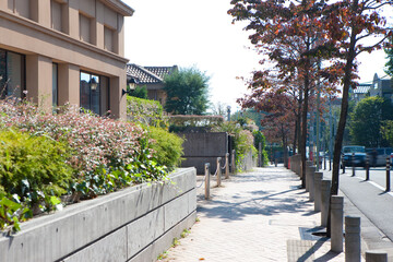 Fototapety na wymiar - Fototapeta24.pl