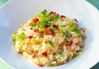 Tomato risotto with buffalo mozzarella and dwarf basil leaves on a white plate