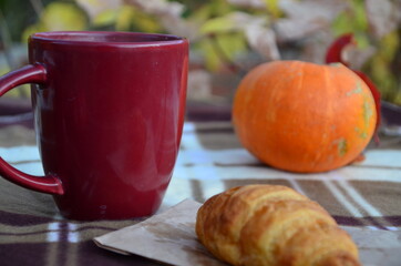 Red Cup of tea or coffee and warm plaid blanket on wooden rustic bench, picnic in the autumn forest. Fall weekend. Photo toned, selective focus. сroissant pumpkin