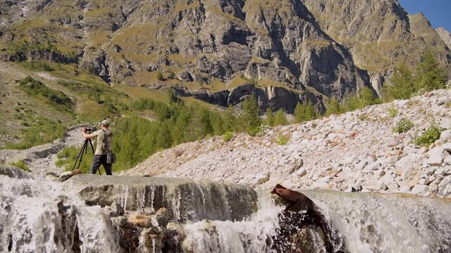 Caucasian Ambitious Photographer in His 40s Taking Pictures Standing in Mountain River, italian Alps Val Ferret Region.