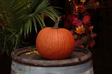 orange pumpkin on top of a barrel with autumn colored leaves backdrop for a Halloween, Fall or Autumn theme