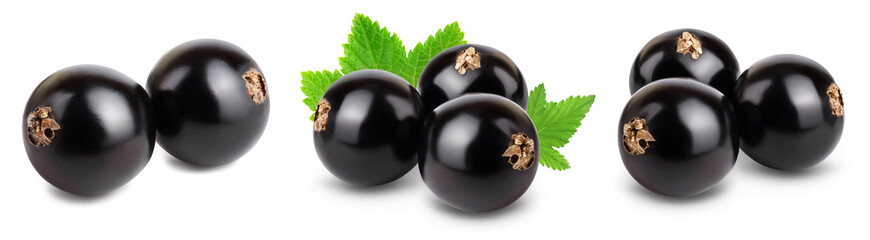 black currant with leaves isolated on white background with clipping path and full depth of field. Set or collection