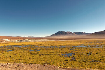 Fototapeta premium Chile – The stony desert of Atacama with the Andean mountains in the background.