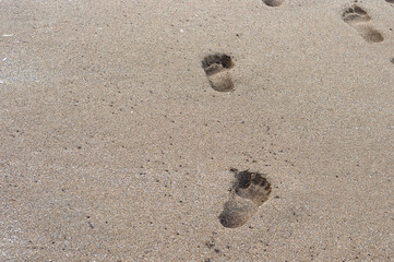 Top view, footprints on the wet sand of the Turkish coast. Copy Space. Sea texture. Summer background. Quarantine. Self isolation.