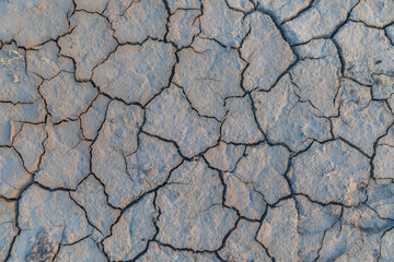 Cracked dry ground. Dry ground texture