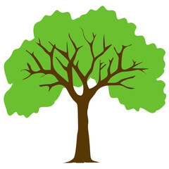 Fototapeta premium Tree with single leaf structure as one leaf on one stem, this is apple tree icon 