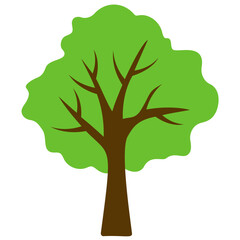 
Tree with single leaf structure as one leaf on one stem, this is apple tree icon 
