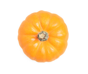 Beautiful ripe orange pumpkin isolated on white, top view