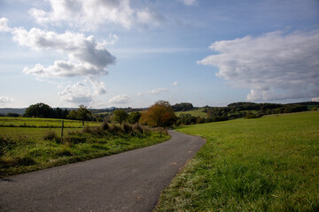 asphalt way trough countryside view of a meadow, fileds, trees and forest, fall, cloudy sky