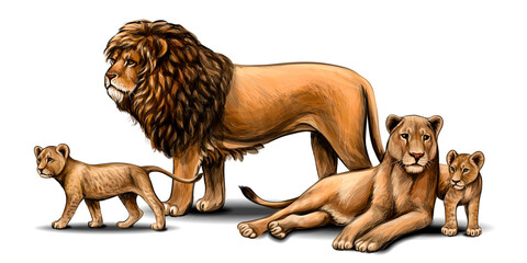 Family of lions. Pride. Color, graphic portrait of a lion family in watercolor style on a white background. Digital drawing.Vector graphics.