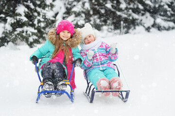 two cute little girls in colorful winter clothes are sledding against the background of snowfall and winter forest. Winter entertainment