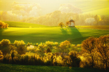 Fototapety na wymiar - Fototapeta24.pl