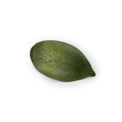 Peeled pumpkin seed isolated on white, top view