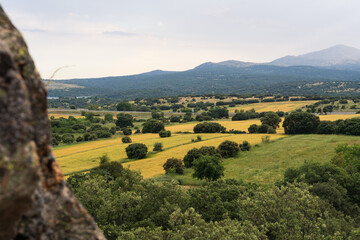 Yellow fields on the mountains