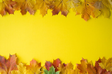 Naklejka na ściany i meble Autumn bright colored background. Thanksgiving, Halloween card. Autumn sale.