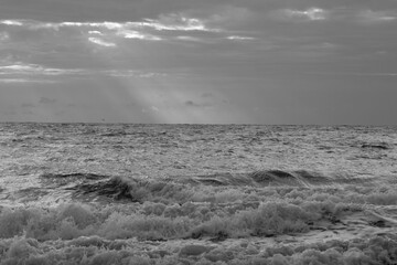 Obraz premium Morning at the Ocean in black and white