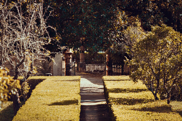A path in the middle of a shrub garden, sintra, portugal