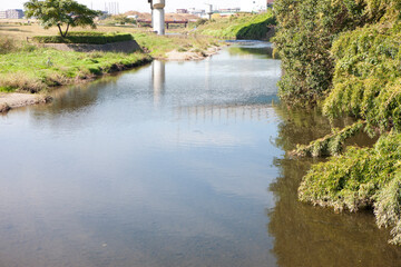 Fototapeta na wymiar 多摩川の河川敷