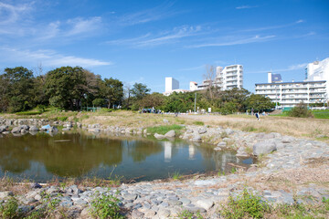 Fototapeta premium 多摩川の河川敷
