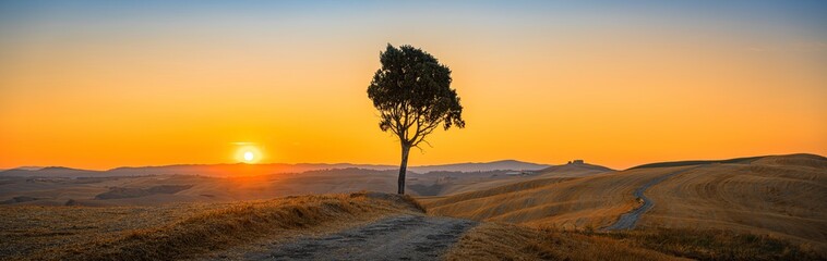 Beautiful panorama with the silhouette of a pine tree on the top of Tuscany hill in the morning at sunrise