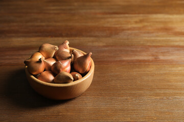 Tulip bulbs in bowl on wooden table. Space for text