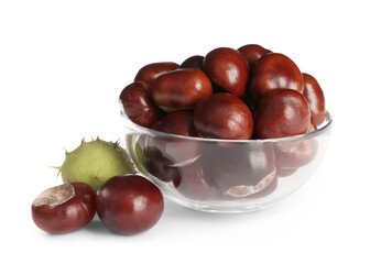 Horse chestnuts in bowl on white background