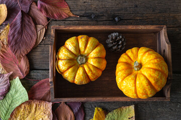 Two yellow pumpkins in a wooden tray on a table with autumn leaves